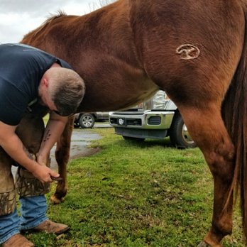 Rooted Farm & Forge - Farriers Near Me Rooted Farm & Forge - Farriers Near Me