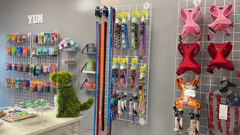 FURREVER FRIENDS MANLIUS Updated August 2024 23 Photos 315