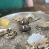 Tangaroa Fish Market gift card