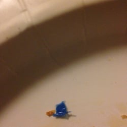 Bishop's Pizza - The blue plastic I found in my pizza!