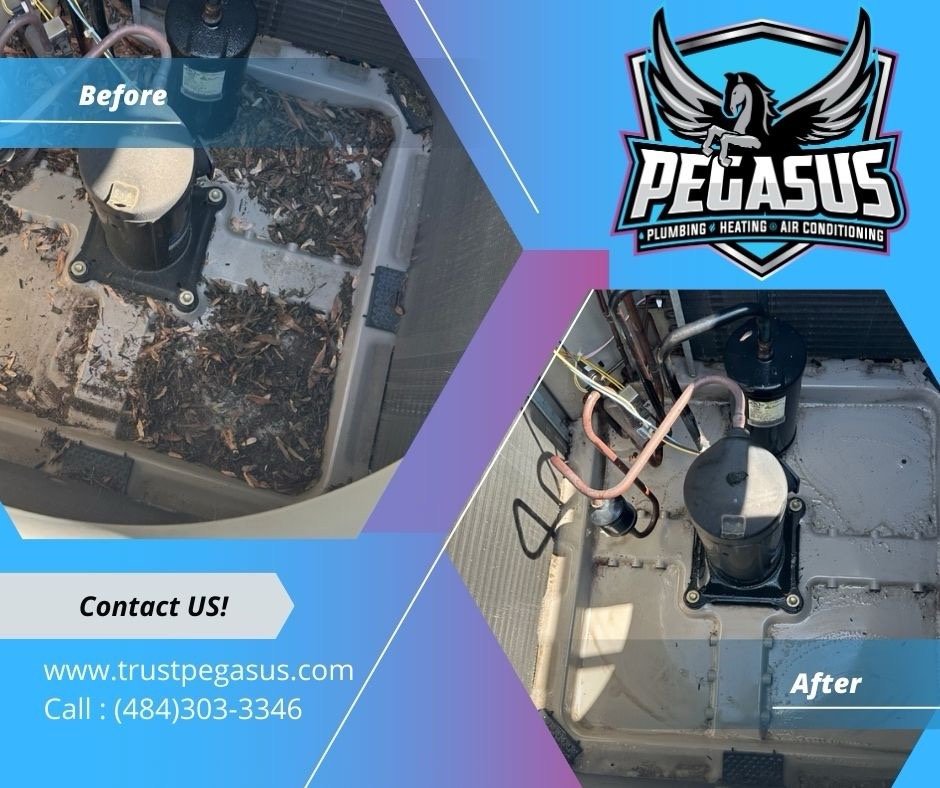 Slide of Pegasus Home Services