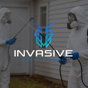 Invasive Pest Control - Our expert team tackling infestations with professional grade treatments. Call us today! 562-725-8880 - Pest Control Near Me - Long Beach, California