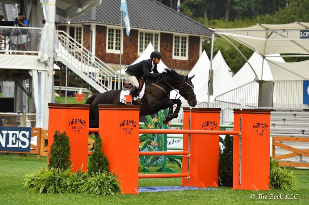 AD SPORTHORSES 330 Peach Lake Rd, Brewster, NY Yelp