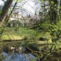 Photo of l'ile verte