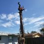 Photo of A M Trimming and Removal Service