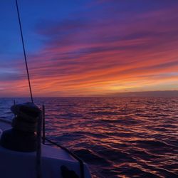 Kohala Blue Sail Hawaii