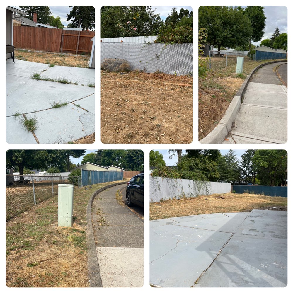 PRESSURE JUNKIEZ Updated September 2024 16 Photos Portland