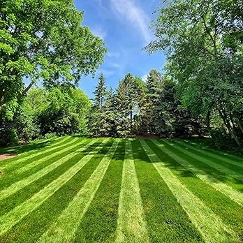 Timber Bros Tree Service - Tree Services Near Me Timber Bros Tree Service - Tree Services Near Me
