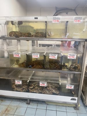 Da Seafood Store by null