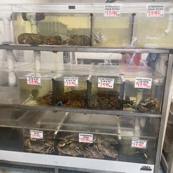 Da Seafood Store - live crabs and lobsters