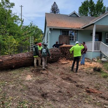Benavidez - Tree Services Near Me Benavidez - Tree Services Near Me