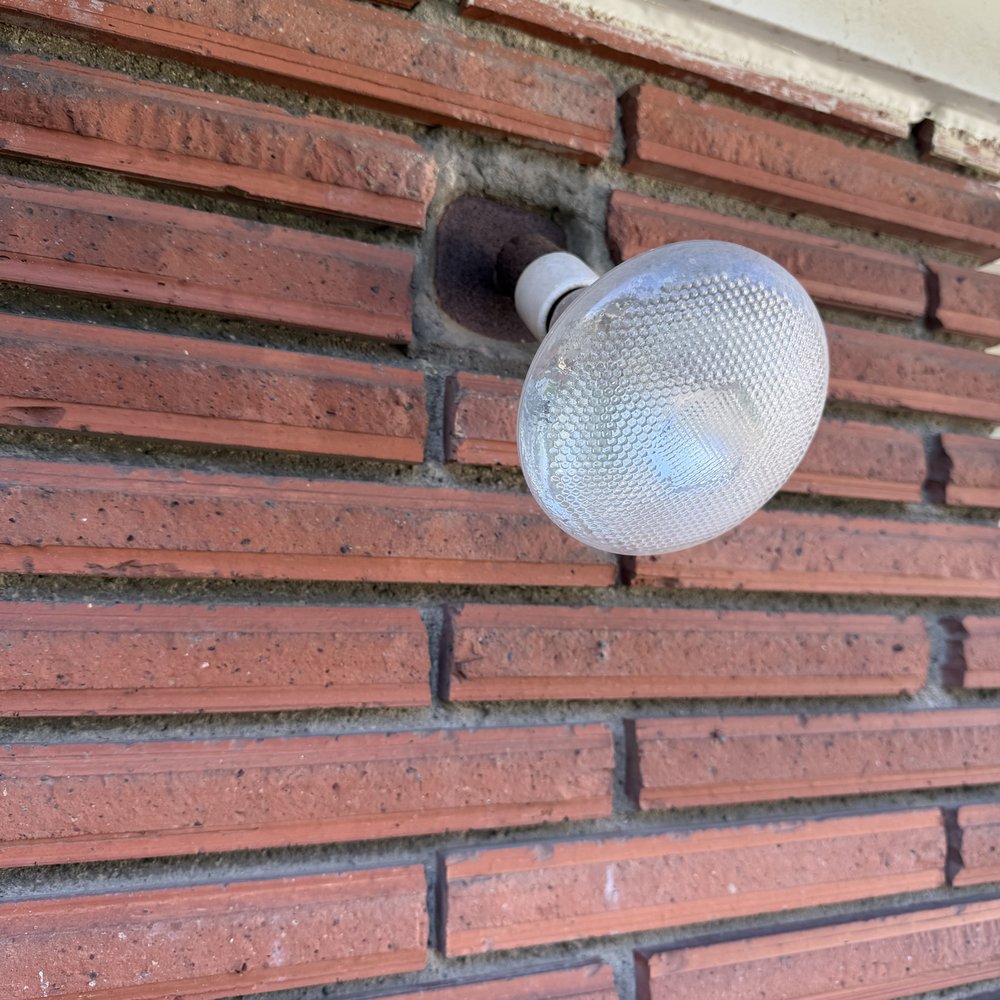 Prince Electric - Backyard flood light - Electricians Near Me Prince Electric - Backyard flood light - Electricians Near Me