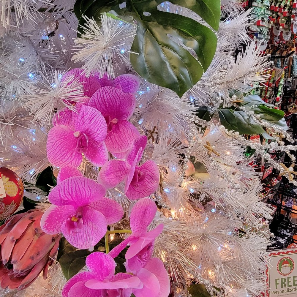 Waikiki Christmas Store - Home Decor Near Me - Honolulu, Hawaii Waikiki Christmas Store - Home Decor Near Me - Honolulu, Hawaii