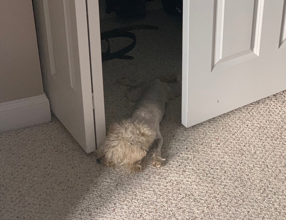 PETCO 27 Photos & 57 Reviews 169 Parkingway, Quincy, MA Yelp