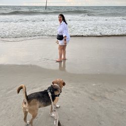 Loggerhead Inn and Suites