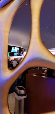Kuro (in Seminole Hard Rock Hollywood) by null