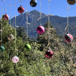 Present and Positive - Views on the patio