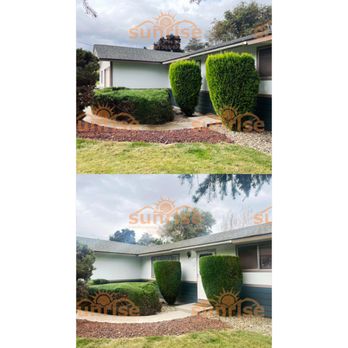 Sunrise Landscaping & Tree Services - Shrub Trimming - Tree Services Near Me Sunrise Landscaping & Tree Services - Shrub Trimming - Tree Services Near Me