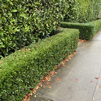 Kevin's Yard Work - Leaves - Landscaping Near Me