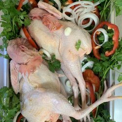 Mi Rancho Market - Gallos y gallinas criollos