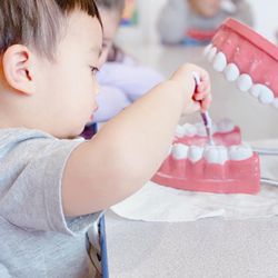 First Steps Learning Home