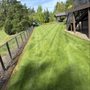 Photo of Sonora Landscape & Maintenance