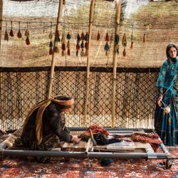 Wahi Rugs & Carpet