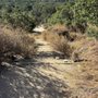 Photo of Guadalupe Oak Grove Park