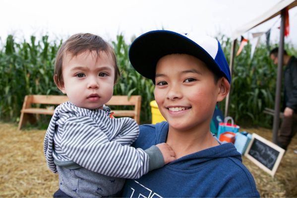 Bob's Corn & Pumpkin Farm by null