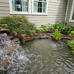Gardens by Oz