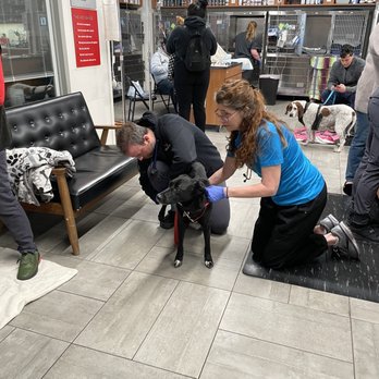 Veterinary Emergency Group - Emergency Pet Hospital Near Me - Denver, Colorado