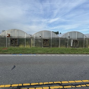 Greer Garden Center - Greenhouses! - Nurseries & Gardening Near Me - Gaffney, South Carolina Greer Garden Center - Greenhouses! - Nurseries & Gardening Near Me - Gaffney, South Carolina
