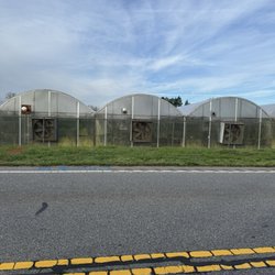 Greer Garden Center - Greenhouses!