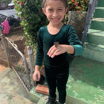 Paradise Monarchs - Our butterfly girl hanging out with us before she flew off to her new home - Gift Shops Near Me - Waipahu, Hawaii