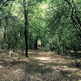 Sutton Park - Parks Near Me - Sutton Coldfield, XWM