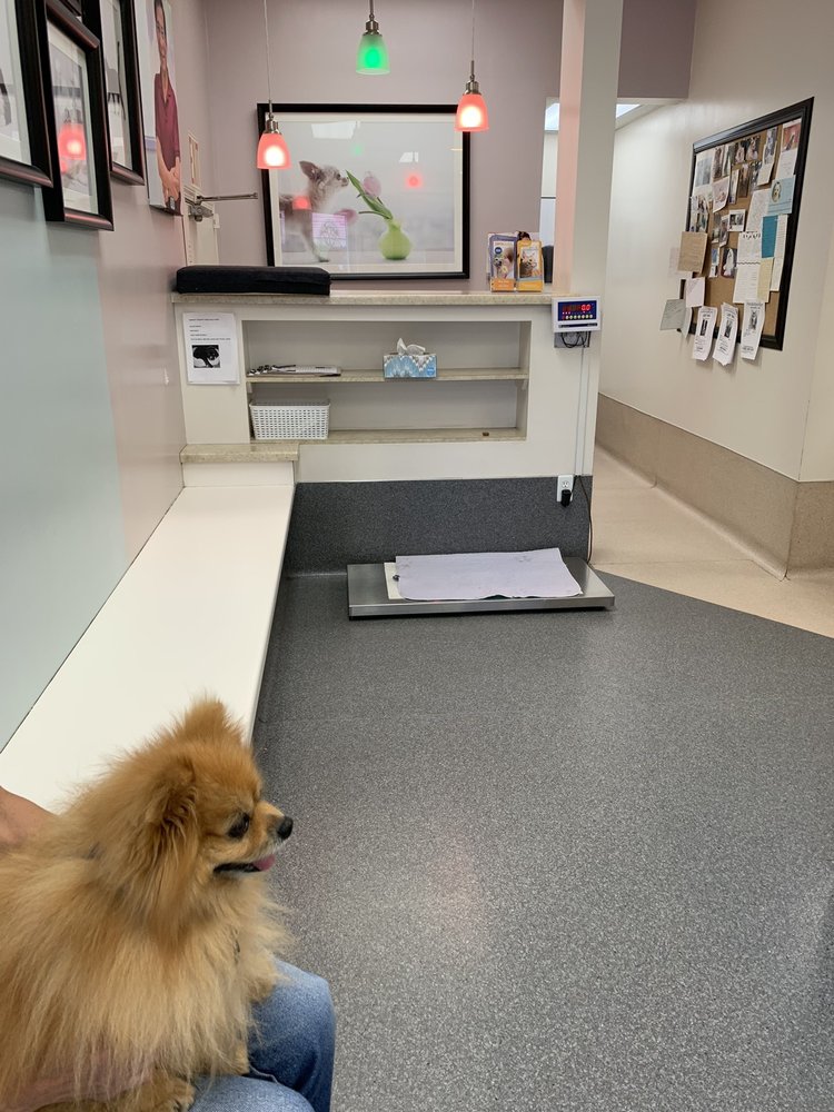 EL MONTE DOG & CAT HOSPITAL CLOSED Updated June 2024 39 Photos