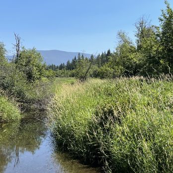 Round Lake State Park - Hiking Near Me - Sagle, Idaho Round Lake State Park - Hiking Near Me - Sagle, Idaho