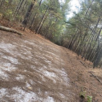 Sesquicentennial State Park - Walking trail - Parks Near Me - Columbia, South Carolina