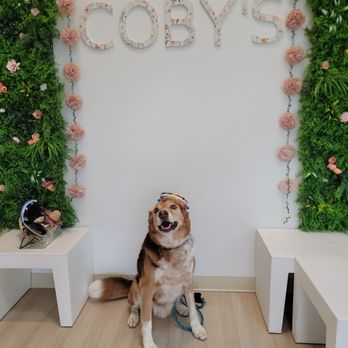 Coby’s Cafe - Tanner posed with his cute Mexican hat. - Themed Cafes Near Me - Seattle, Washington