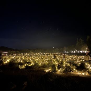 123 Farm - The fields - Farmers Market Near Me - Cherry Valley, California 123 Farm - The fields - Farmers Market Near Me - Cherry Valley, California
