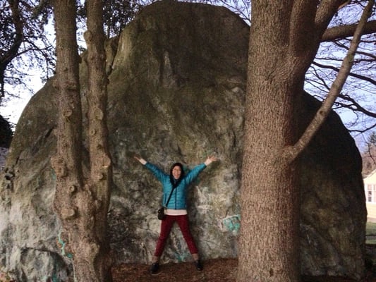 Wedgwood Rock by null