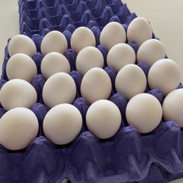 Eggs large Eggs large