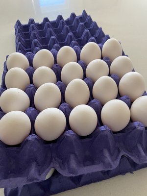 Voortman Egg Ranch by null