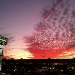 Shore Thing Billiards - Shore Thing Sunset