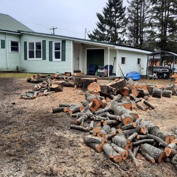 Lang Tree Service - Tree Services Near Me Lang Tree Service - Tree Services Near Me