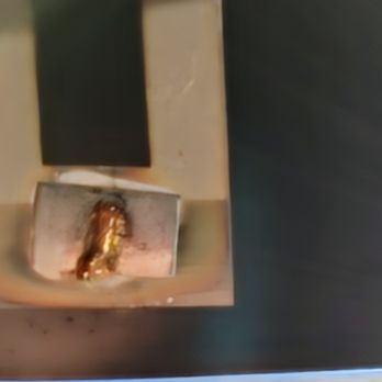 Dana Meyer Auto Care - Sensor is not connected. - Auto Repair Near Me - Albany, California
