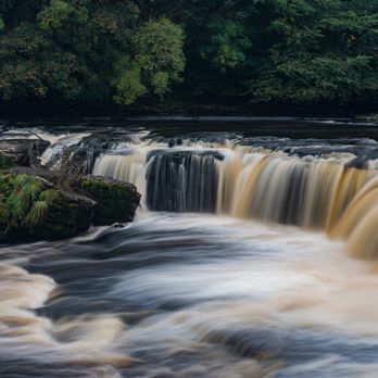 Mountain Goat - Aysgarth Falls - Tours Near Me - Windermere, CMA