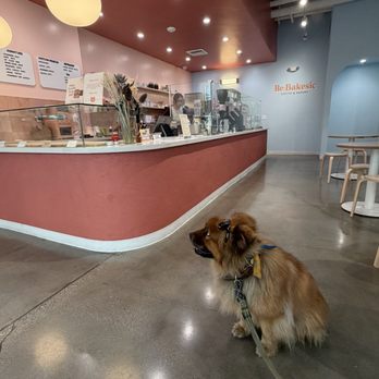 Re Bakesic - Such a cute and clean interior! My friend's dog approves. - Bakeries Near Me - Alhambra, California