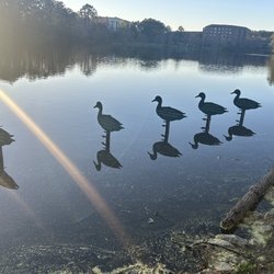 Harbison Place Walking Trail - Signs warning to not feed the ducks or any waterfowl