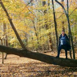 Oak Grove War Memorial Walking Trail Park